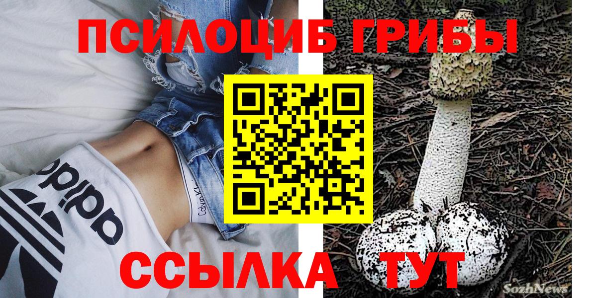 Псилоцибиновые грибы мицелий Североуральск