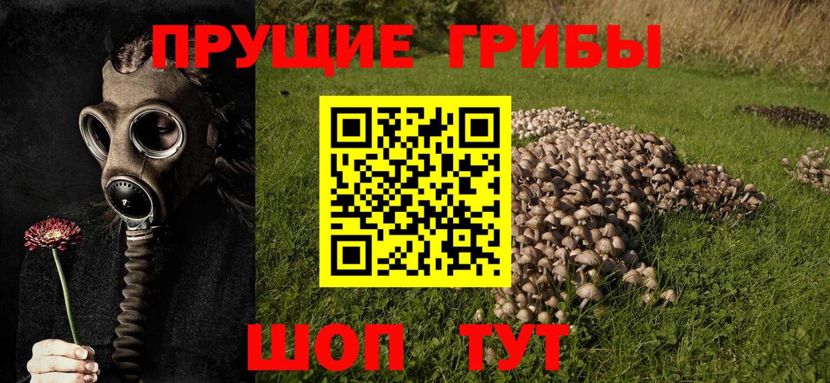Галлюциногенные грибы мицелий  Вход с VPN  Североуральск  Галлюциногенные грибы MAGIC MUSHROOMS 